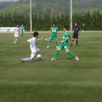 DSC06307