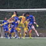DSC00553